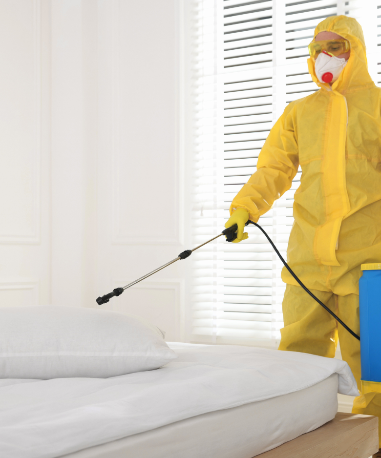 Professional Pest Control Team in Scott Creek